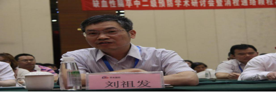 消栓通絡(luò)顆粒真實(shí)世界研究課題啟動(dòng)大會(huì)隆重召開